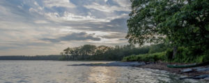 Clouds and Lush Trees over Shimmering Waters, Photo Credit: Peter G. Morneau
