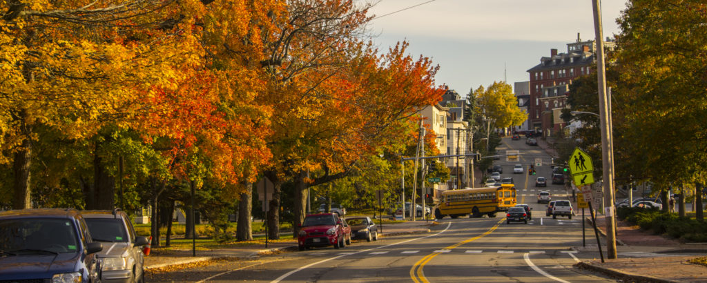 Fall Foliage, Photo Credit: CFW Photography