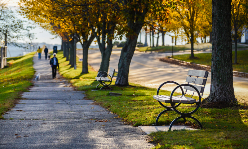 Eastern Promenade Walk with Bench in Fall, Photo Credit: Corey Templeton