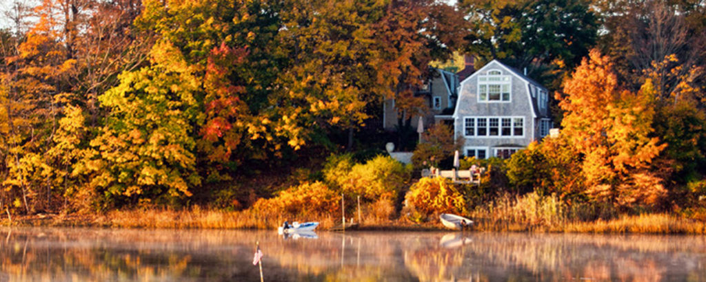 Golden Leaves and Fall Foilage, Photo Credit: Corey Templeton