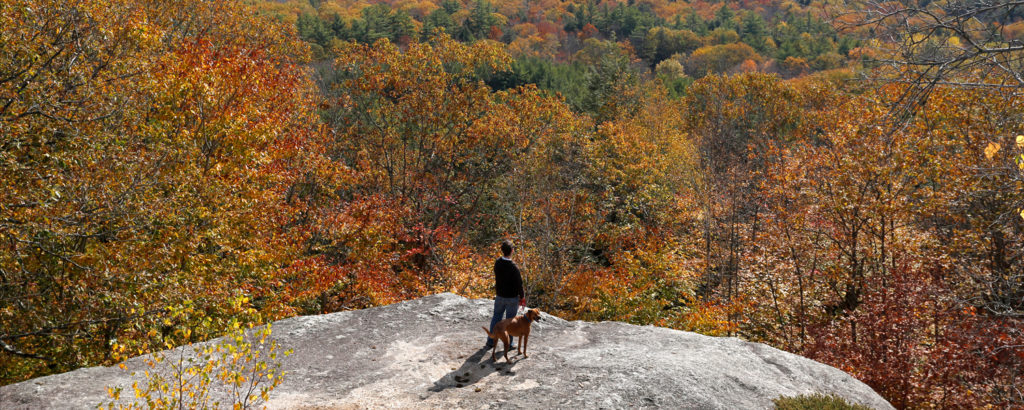 Bradbury Mountain, Photo Credit: Tim Greenway