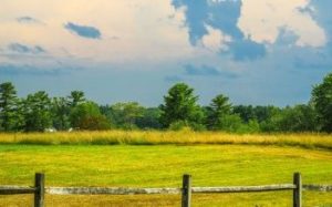 Yoga on the Farm, Photo Courtesy of Spring Creek Farm