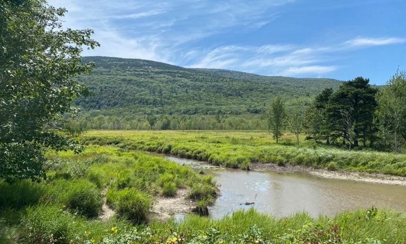 Acadia National Park Stream, Carriage Trails, Photo by Visit Portland / Kirstie Archambault