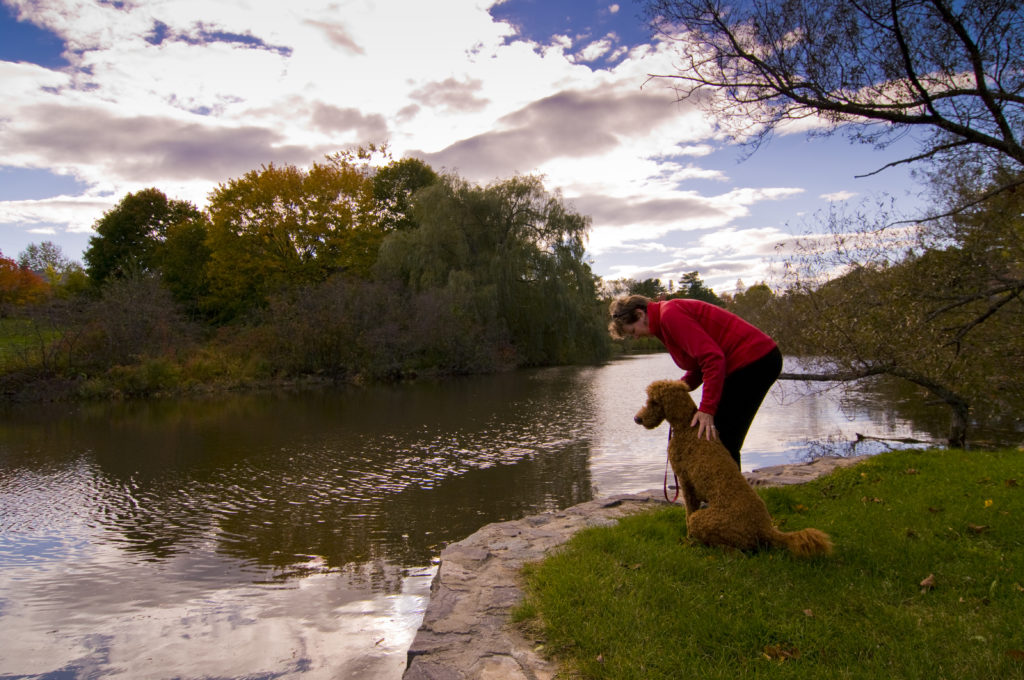 Walking with Dog Through Fall Foliage Near Pond, Photo Credit: CFW Photography