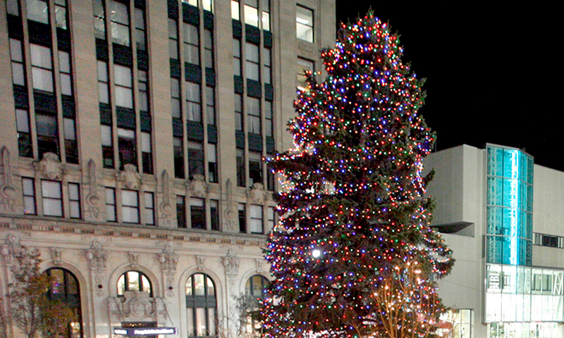 Monument Square Holiday tree, Photo Credit: Tim Greenway