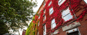 Green and Red Moss Covered Building with Black Fence, Photo Credit: Visit USA Parks and Tobey Schmidt
