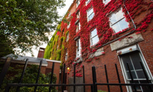 Green and Red Moss Covered Building with Black Fence, Photo Credit: Visit USA Parks and Tobey Schmidt
