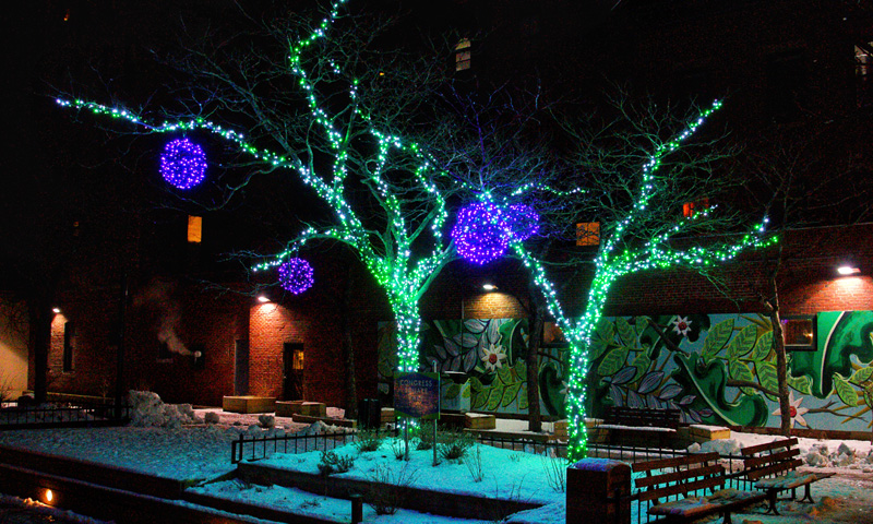 Pandora's Winter Lights - Two trees strung with bright blue lights and purple bulbs, Photo Credit: Capshore Photography