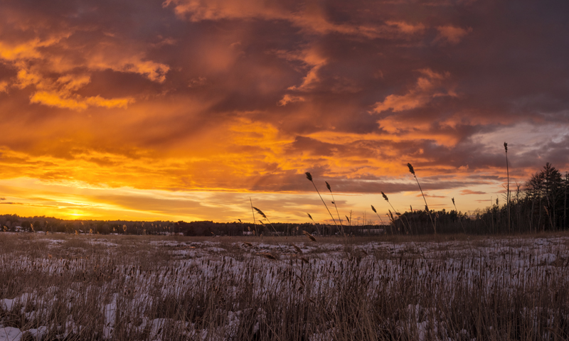 Scarborough Marsh Winter Sunset, Photo Credit: CFW Photography