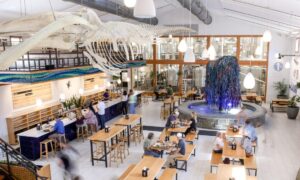 Tasting Room. Photo Credit: Maine Beer Company