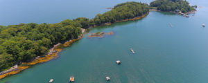 Clapboard Island Aerial, Photo Credit - Remax Reality David Banks listing