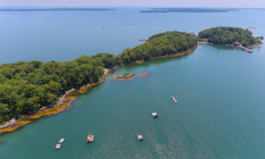 Clapboard Island Aerial, Photo Credit - Remax Reality David Banks listing