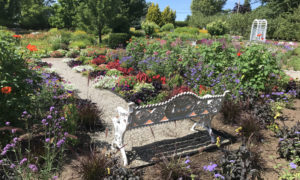Summer Garden Series, Photo Courtesy of Pineland Farms