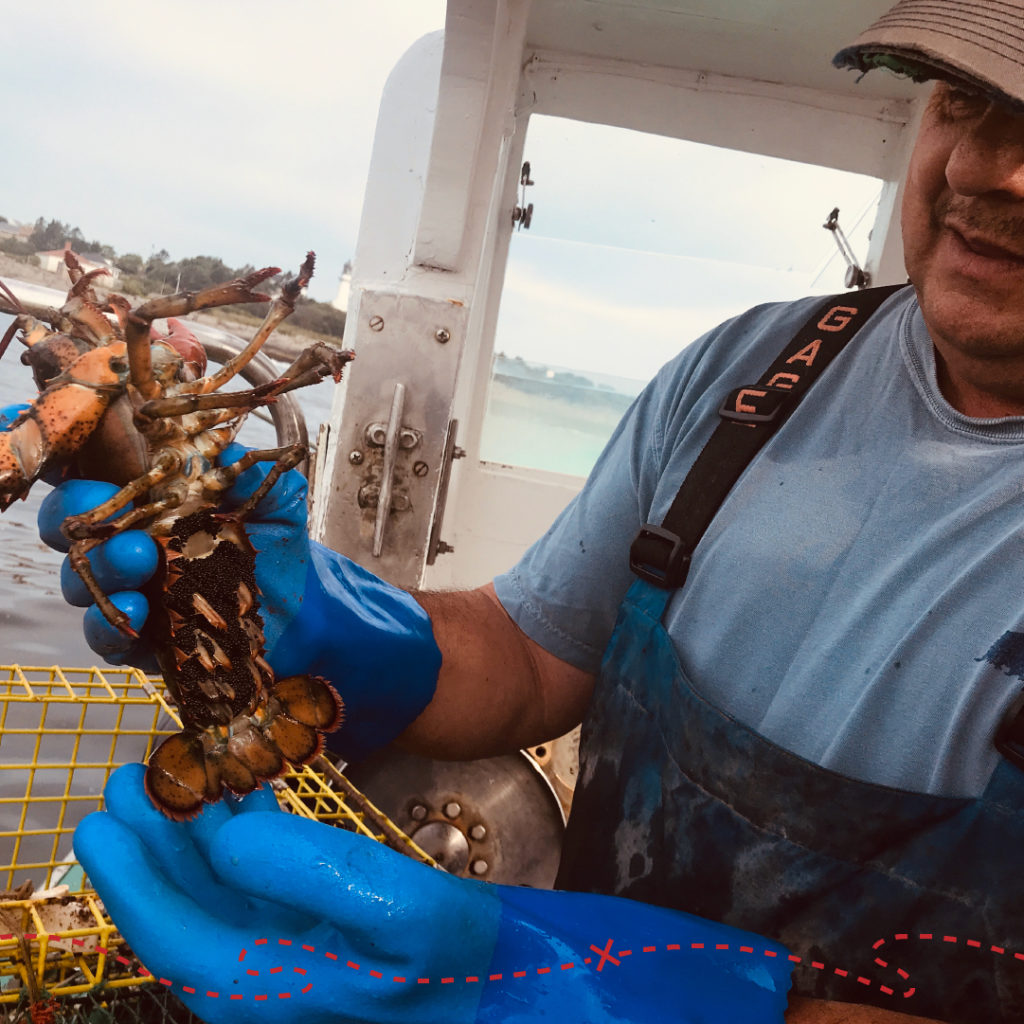 Lobster Done Local, Pete the Lobsterman - Photo Credit: GLP Films