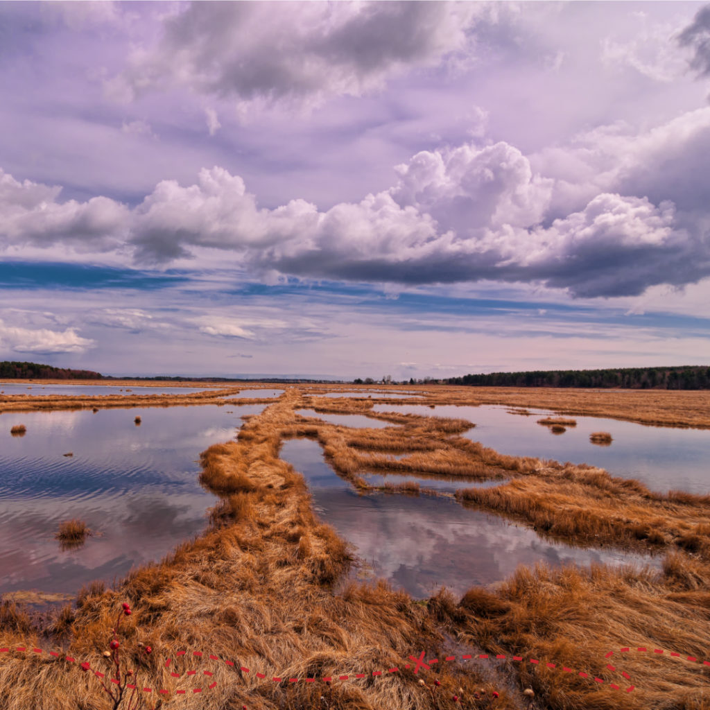 Wander South - Scarborough Marsh, Photo Credit: CFW Photography