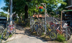 Bike Tours on Peaks Island, Photo Credit: Kirsten Alana Photography