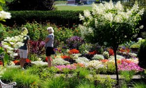 small garden party, Photo Credits: Pineland Farm