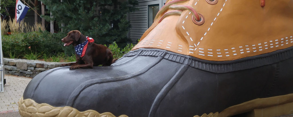 Dog on L.L.Bean Boot, Photo Courtesy of Visit Freeport