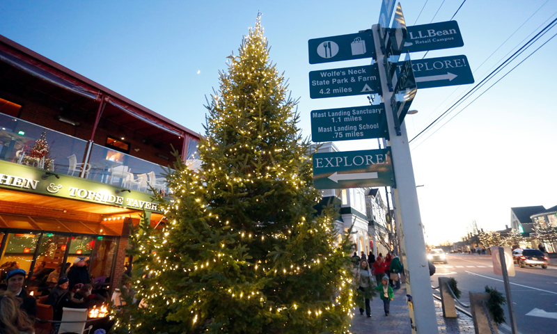 Freeport's Famous Talking Tree. Photo Provided by Visit Freeport