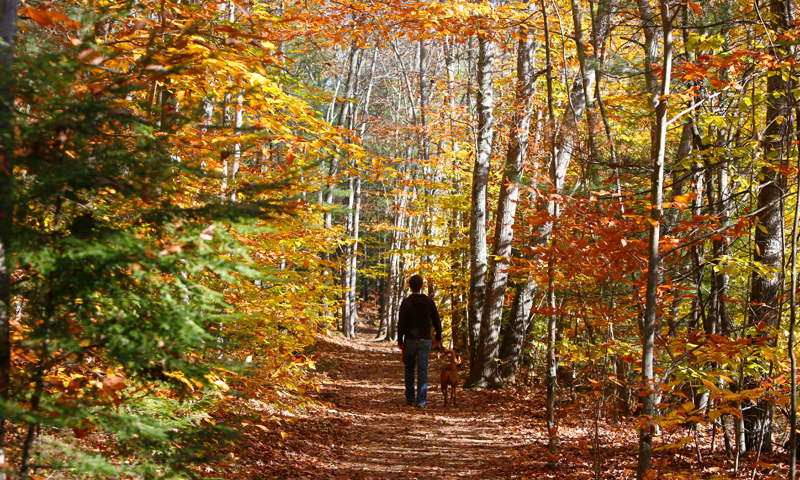 Hiking at Bradbury Mountain in Fall. Photo Courtesy of Visit Freeport.