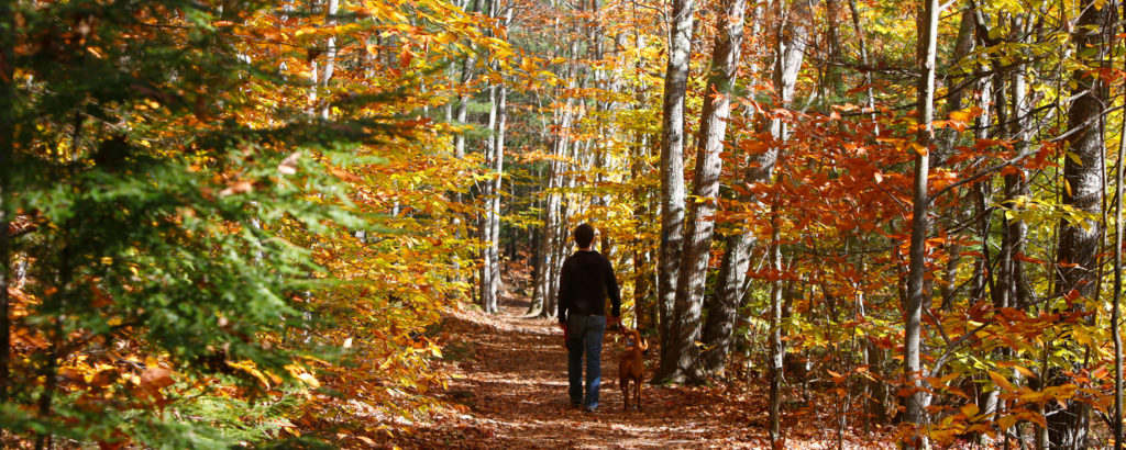 Hiking at Bradbury Mountain in Fall. Photo Courtesy of Visit Freeport.