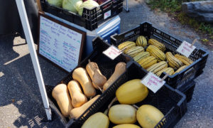 Farmers Market Display / Makers on Main, Photo Courtesy of Visit Freeport