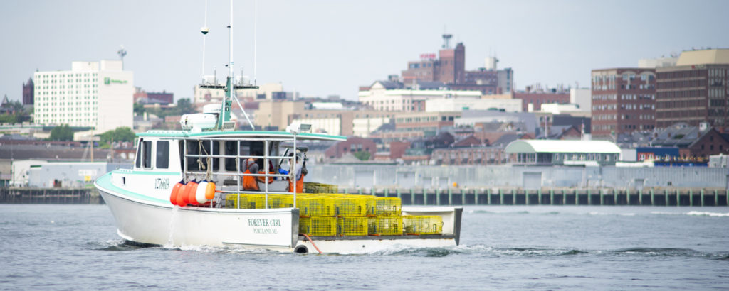 Lobster Boat with City View. Photo Credit: Capshore Photography