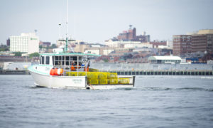Lobster Boat with City View. Photo Credit: Capshore Photography
