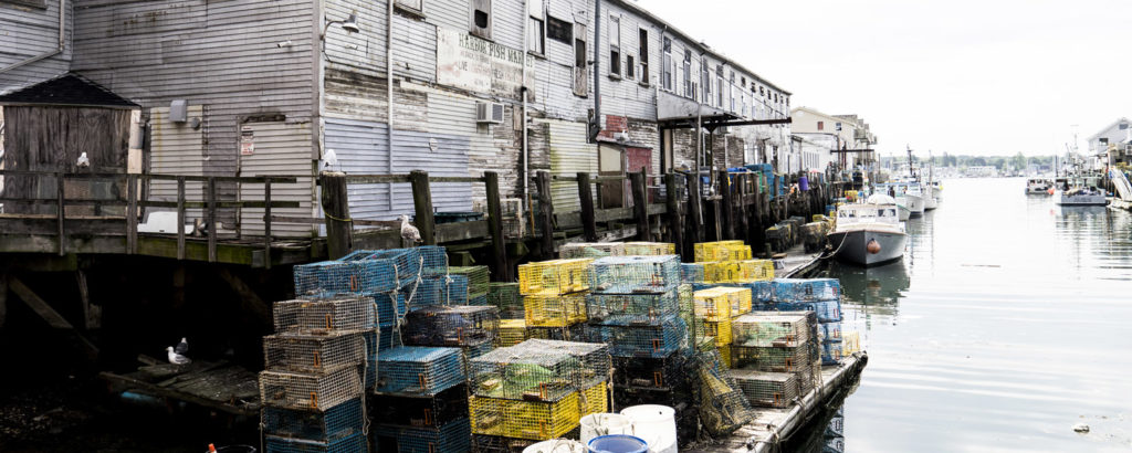 Portland Wharf. Photo Credit: Capshore Photography