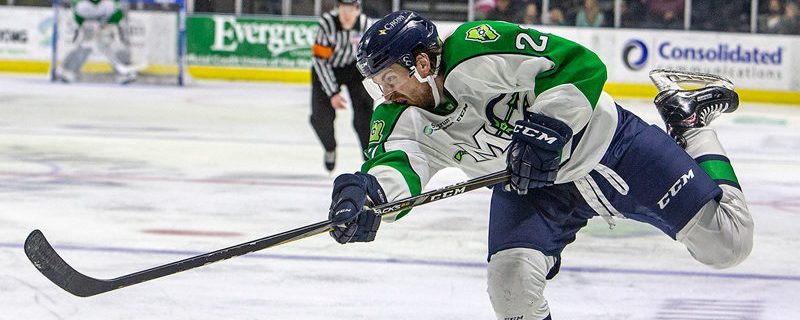 Hockey Player. Photo Provided by Maine Mariners