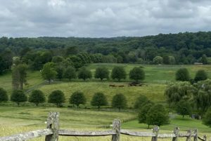Music at Sunset. Photo Provided by Spring Creek Farm
