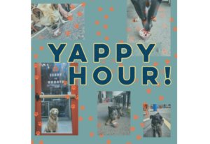 Yappy Hour. Photo Provided by Three of Strong Spirits