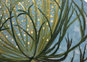 Queen Anne's Lace Bonnie Bishoff Close Shot