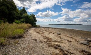 Mackworth Island. Photo Credit: Serena Folding