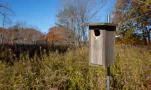 Gilsland Farm Audobon Center, Photo Credits: Serena Folding