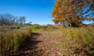 Gilsland Farm Audubon Center Photo Credit Serena Folding l