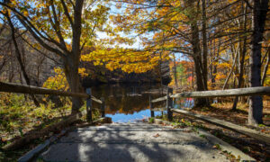 Hinckley Park Trail, Photo Credit: Serena Folding