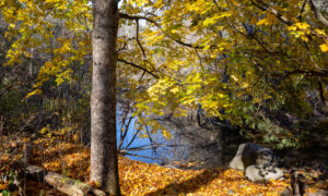 Pratt's brook Park Photo Credit Serena Folding