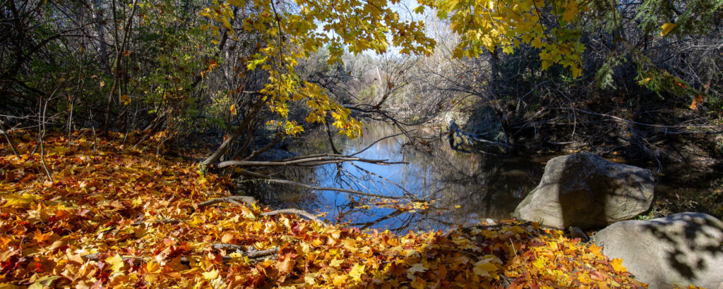 Pratt's Brook Park Photo Credit Serena Folding