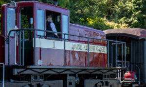 Eastern Promenade Trail, Photo Credits: Serena Folding