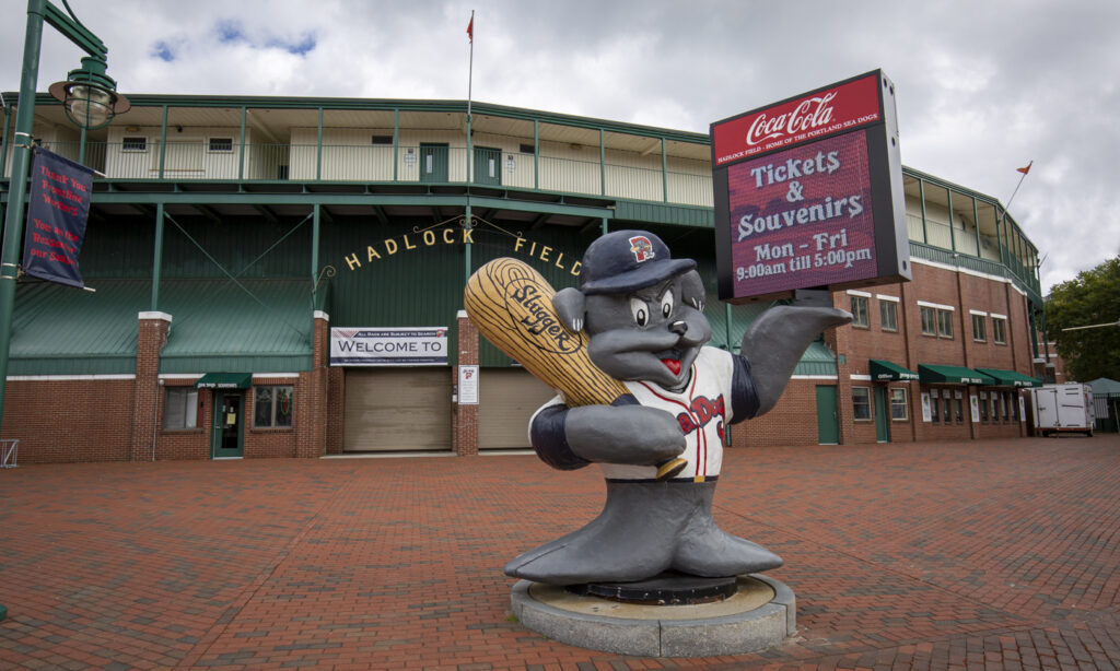 Hadlock Field, Photo Credits: Serena Folding