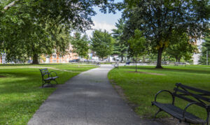 Lincoln Park, Photo Credits: Serena Folding