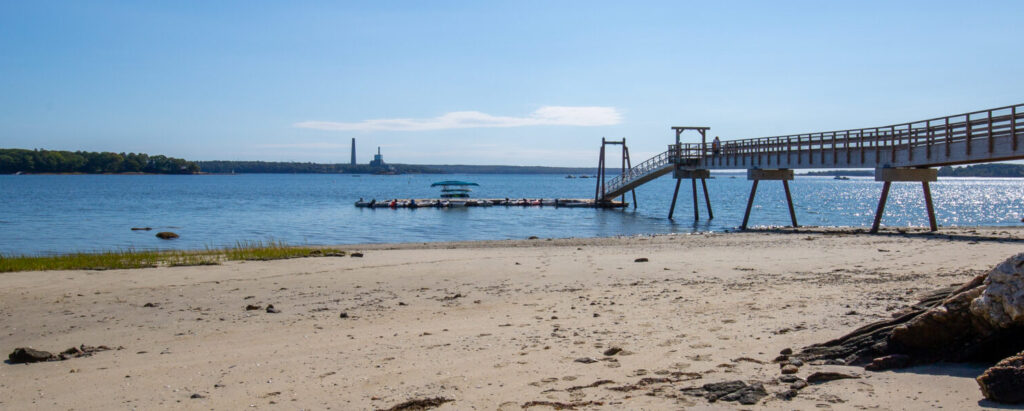 Broad Cove Reserve, Photo Credits: Serena Folding