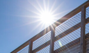 Broad Cove Reserve, Photo Credits: Serena Folding