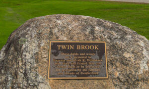 Twin Brook Park, Photo Credits: Serena Folding