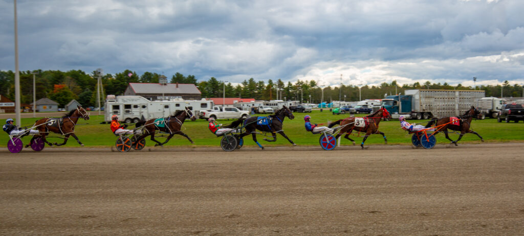 Cumberland Fair, Photo Credits: Serena Folding