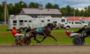 Cumberland Fair, Photo Credits: Serena Folding