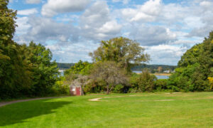 Mackworth Island, Photo Credits: Serena Folding