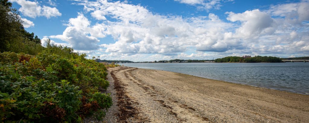 Mackworth Island, Photo Credits: Serena Folding