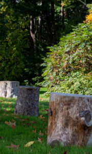 Gilsland Farm Audobon Center, Photo Credits: Serena Folding